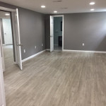 Sprigfield NJ Basement With Full Bath